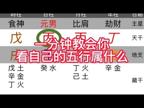 命格屬土|免費生辰八字五行屬性查詢、算命、分析命盤喜用神、喜忌